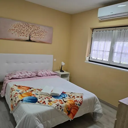 Pereira Guest house *