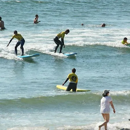 Pereira * Vila Praia de Ancora